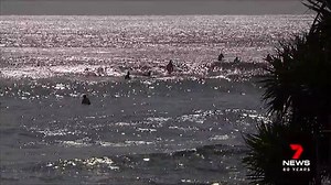 8.8K views · 33 reactions | Tropical Cyclone Oma is tracking closer to the Queensland coast. Severe weather warnings are in place for dangerous surf and king tides. www.7plus.com.au/news #CycloneOma #qldweather #7News | 7NEWS Brisbane | Facebook