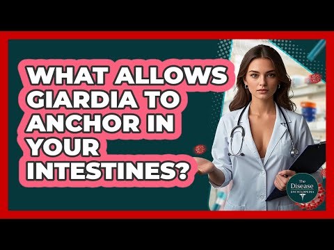 What Allows Giardia To Anchor In Your Intestines? - The Disease Encyclopedia