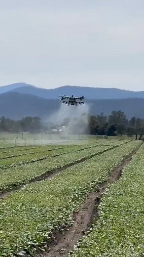 Drone spraying is a cutting-edge precision agriculture solution with low waste and high accuracy. Significantly faster than traditional methods, drone spraying reduces chemical usage and water waste to improve sustainability. #husseyandco #husseyco #husseysalads #husseygroup | Hussey & Co.