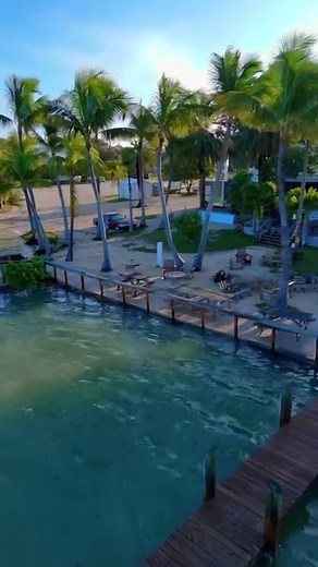 🌴 It was a bar like many others and then it wasn’t.” ~ Jimmy Buffett describing the Caribbean Club in his autobiography, A Pirate Looks at Fifty 🏝️ The Caribbean Club is an institution 🦜 a piece of Old Florida Keys and a must visit when coming to the Keys 🏝️ This historic bar in Key Largo is the oldest bar in the upper keys and one of the last remaining relics of Old Key Largo. It opened in 1938 an it’s the filming location of the famous 1948 movie “Key Largo” 🌴 I’m blessed to live less tha