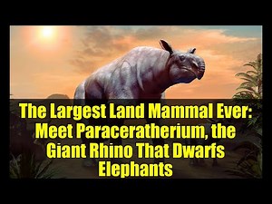 The Largest Land Mammal Ever: Meet Paraceratherium, the Giant Rhino That Dwarfs Elephants
