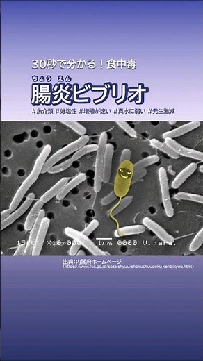 30秒で分かる！腸炎ビブリオ食中毒（食中毒は防げる！） #料理 #国家試験 #雑学
