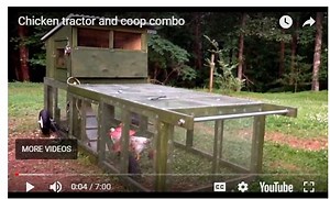 My first attempt at a chicken tractor.