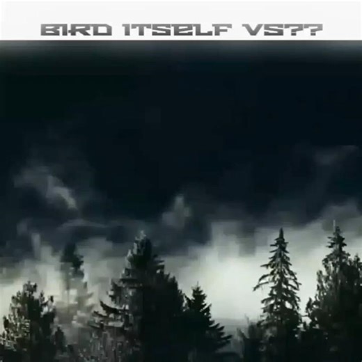 [ Bird Martial Art ] - BAKI EDIT