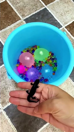 "Boss Tries to Find Lizard Fish’s Home 😂🐟"#shorts #ytshorts