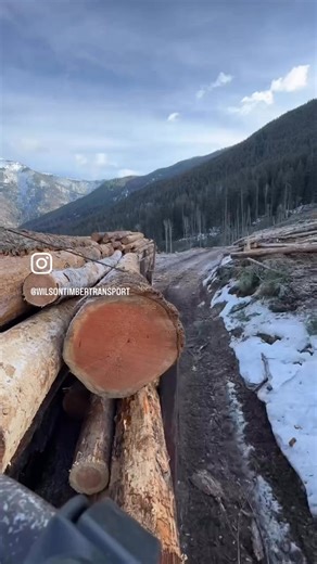 Wilson Timber Transport on Reels