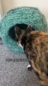 6.4K views · 81 reactions | made her own cat pod❤️ #crochet #cat #catpod #cathouse #kittens #kitty #catcave #cathosue | Crochet World | Facebook