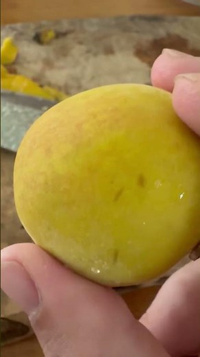 Harvesting my potted golden peaches for Tanabata on 7/7! With a great aroma and even better flavo...