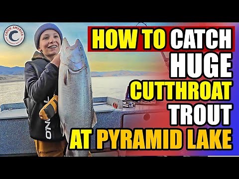 Catching Massive Cutthroat Trout at Pyramid Lake | Best Tactics for Trophy Fish!