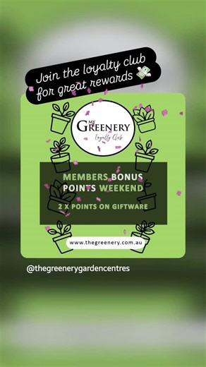 The Greenery on Reels