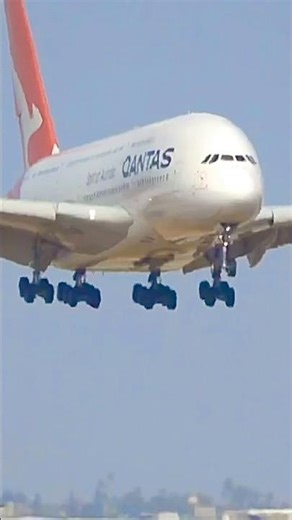 The Big Bus from Down Under: Qantas A380 on a 24R final ‪@LAXairport1‬