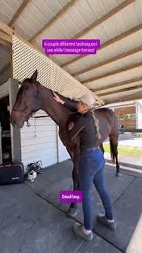 Horse Massage Techniques! #equinemassage #horsehealth