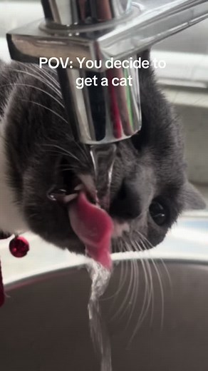 FitwithCarla on TikTok