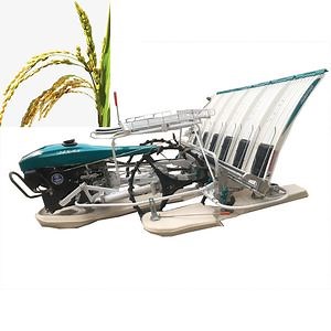 [Hot Item] Rice Seedling Plant Machine / Rice Transplanter