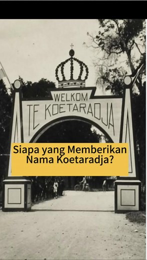 Sophie Montgomery on TikTok