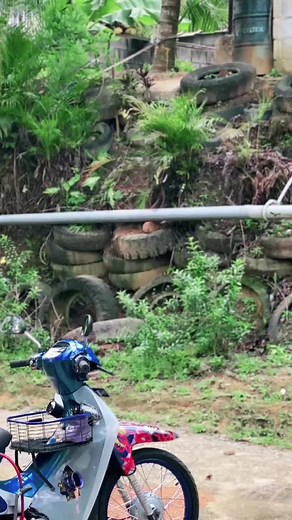 Cleaning Tips with Kriss Clean Cubes