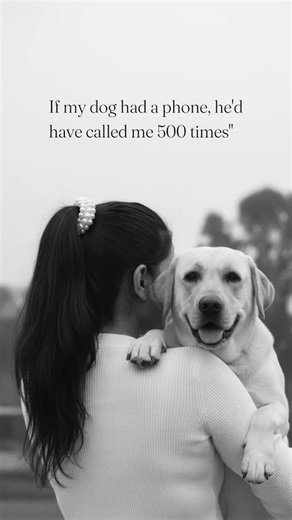 rover the labrador on Instagram: "Their selfless love🥺❤️🐾… . . . . . . . #instagrowth#explore#igreach#viralvideo#foryou#instadaily#likesharecomment#viralreel#expliorepage#instaviral#fyp #followforfollowback #Viral #trending #goldendoodle #instagram"