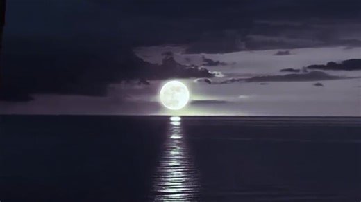 Moon, Night, Moonlight. Free Stock Video
