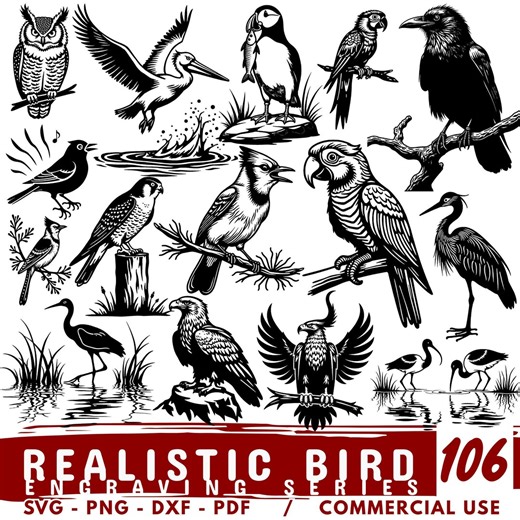 Bird Engraving Vector Bundle, Wildlife Designs (svg, Png, Pdf, Dxf) - Etsy Australia