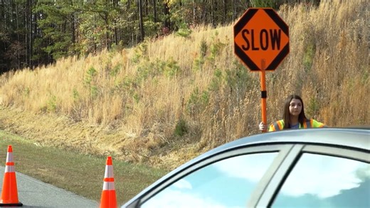 TTC_ Flagger Training Basics