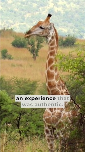 First time tour in South Africa! #africa #safari #travel
