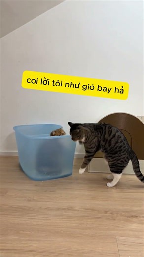 Vệ sinh chia nam nữ là bình thường còn Đại Ca đi vệ sinh chia cả khô và ướt hahahaha