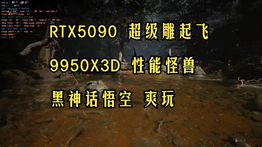 【9950X3D RTX5090性能首测】黑神话悟空全特效丝滑实录！