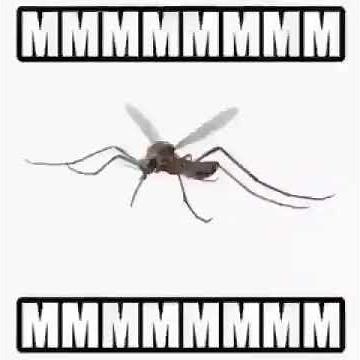 MMMMMMMMMMMMMMMMMMMMMMMMMMMMMMMMMMMMM