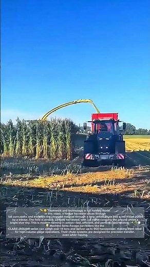 Massive Forage Harvester Unloading Corn – How Many Tons Does It Weigh?