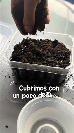 Paso a paso 🌱🥰 #huerto #jitomate