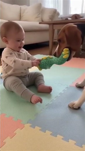 Baby’s First Fetch Game With Dog 🎾🐶👶