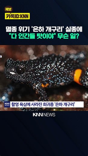 "Greed is destroying the Earth's ecosystem." Did humans cause the extinction of the "galaxy frog"...