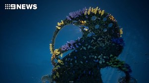 66K views · 2.2K reactions | TONIGHT: In a world-first, a floating...