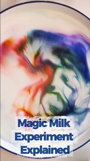 Magic Milk Experiment Explained