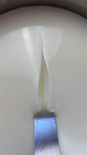 Сирний згусток. Cheese curd. #cheesemaking #cheeseschool #cheeserecipe