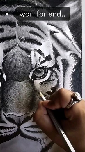 Mastering realistic tiger sketch techniques/sketch tutorial