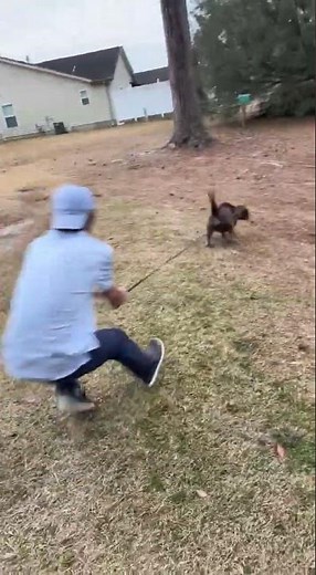 “Let’s take your dog for a walk” 😂