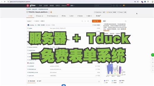服务器 Tduck=永久免费使用的表单系统？