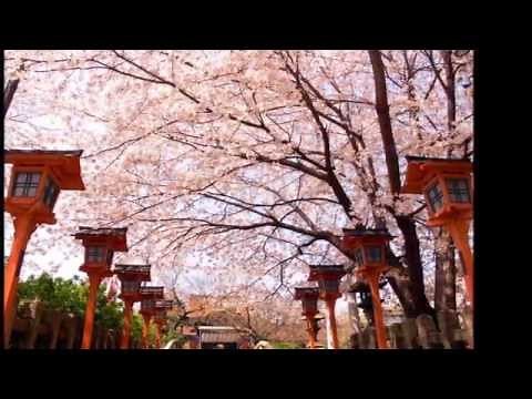 「京都慕情」エレキギター