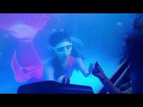 କଟକ ବାଲି ଯାତ୍ରା ରେ ଜଳ ପରି cuttack bali jatra re jala pari odia vlog video