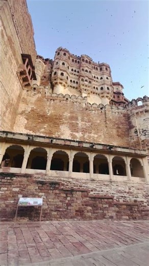 Jodhpur Blue City 😍 | Rajasthan Ka Sabse Khubsurat Shehar #travel #history