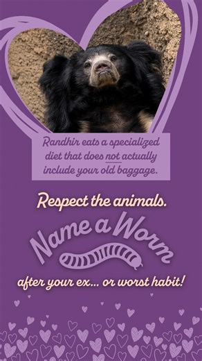 It's time to take care of last year's baggage. Whether it be your ex, something challenging you got through last year, or a bad habit, Randhir's here to help you do it. 🪱 This Valentine’s Day, feed your feelings to a sloth bear at https://www.columbuszoo.org/name-worm. Valentine’s Day at the Zoo is presented by Diamond Cellar. | Columbus Zoo and Aquarium