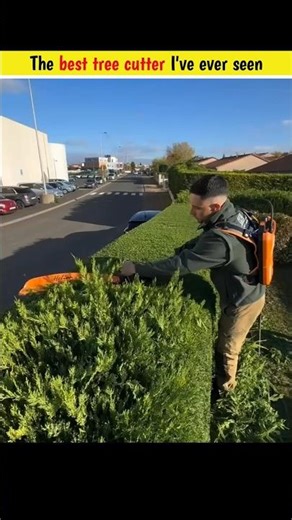 Most Satisfying Tree Cutting Ever 😍🔥 #trending #facts #money #interestingfacts