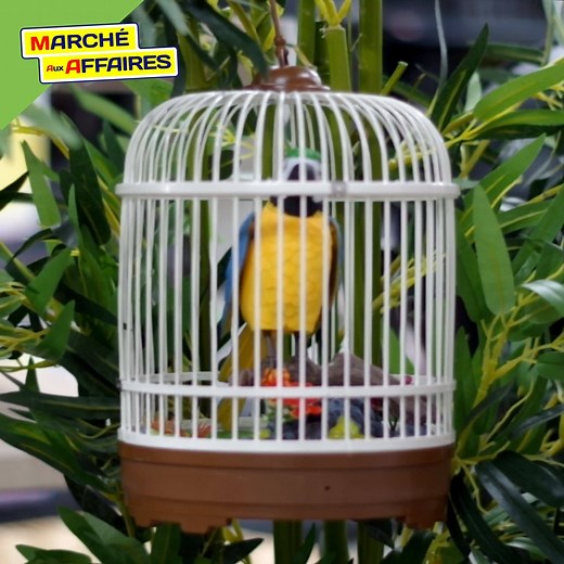 8K views · 45 reactions | Piou Piou ! Venez découvrir nos jolis oiseaux chantants, ils s'activent quand ils detectent des sons ou des mouvements :p Pour un usage intérieur uniquement. Fonctionne avec 3 piles AA non fournies | Marché Aux Affaires | Facebook