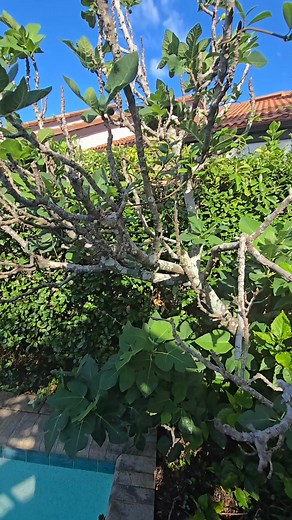 Roberto Martinez on Reels