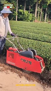 56K views · 68 reactions | Introducing the soil loosening machine, a...