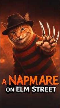 A Napmare on Elm Street😼Nightmare on Elm Street with my cat #pets #cats #fun #kitten #freddykrueger