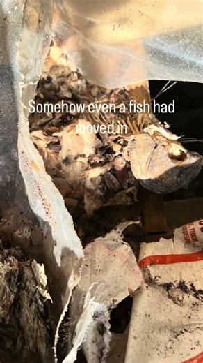 A frame water damage demo and rebuild #constructionlife #constructionchannel #contractorlife