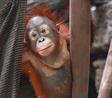 Weddings & Receptions - Toledo Zoo & Aquarium