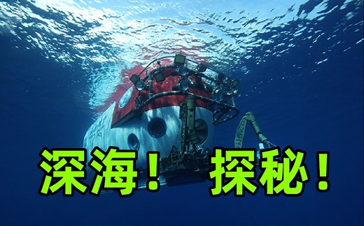 【深入海底】和深潜器一起，探秘万米海底生物
